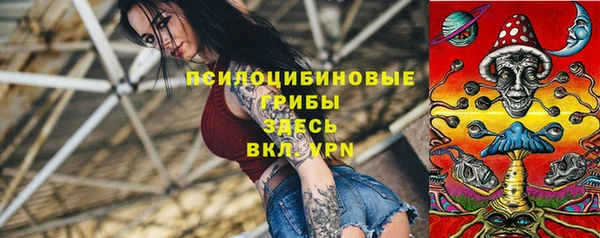 крисы Нефтекумск