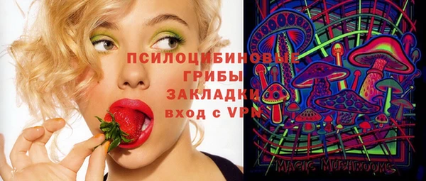 крисы Нефтекумск