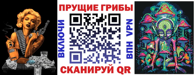 Купить  Чегем  Галлюциногенные грибы Psilocybine cubensis 